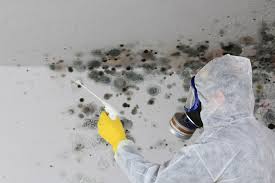 Professional Mold Inspection in Cowan, TN